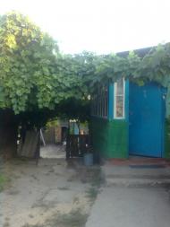 Руднєве - Останні фото