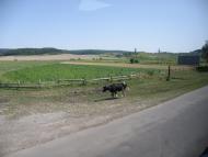 Якторів з panoramio.com