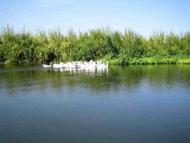 Залиман з panoramio.com