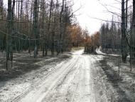 Андріївка з panoramio.com