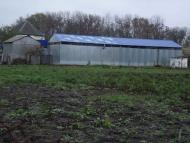 Абазівка з panoramio.com