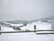 Дністрик-Дубовий з panoramio.com