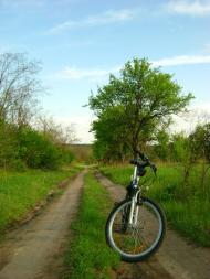 Придніпрянське з panoramio.com