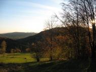 Пасічна з panoramio.com