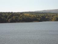 Доброгостів з panoramio.com