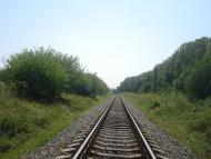 Вороновиця з panoramio.com