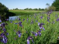 Снов'янка з panoramio.com