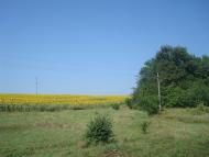 Тарасівка з panoramio.com