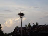 Боровичі з panoramio.com