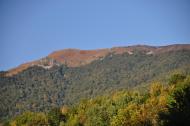 Буковець з panoramio.com