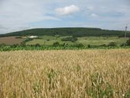 Пуків з panoramio.com