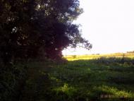 Млиниська з panoramio.com