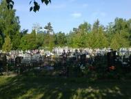 Морозівка з panoramio.com