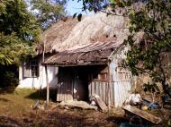 Шевченкове з panoramio.com