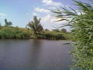 природа села