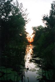 Маячка - Останні фото