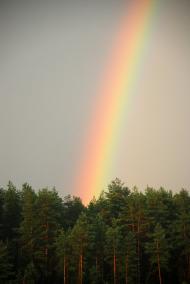 Лукищина з panoramio.com