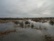 Думинське з panoramio.com