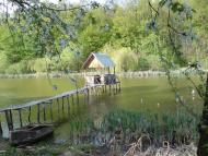 Шарапанівка - Останні фото