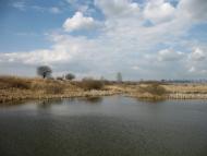 Сороки-Львівські з panoramio.com