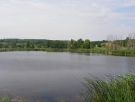 Квітки з panoramio.com