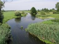 Озерне з panoramio.com