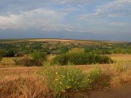 Шимкове з panoramio.com