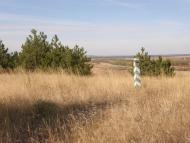 Городище з panoramio.com