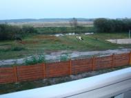 Комарове з panoramio.com