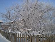 Руднєве з panoramio.com