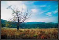 Щербовець з panoramio.com - Щербовец