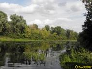 Єлизаветівка з panoramio.com - Yelyzavetivka