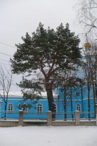 Пересічна з panoramio.com