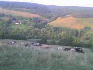 Золотогірка з panoramio.com