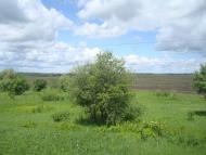 Жищинці з panoramio.com