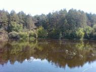 Мізяківська Слобідка з panoramio.com