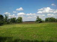 Лисогубівка з panoramio.com