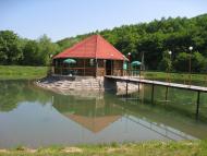 Скоморохи з panoramio.com