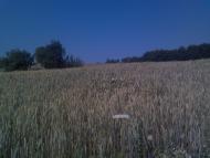 Добряничі з panoramio.com