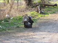 Єлизаветівка з panoramio.com