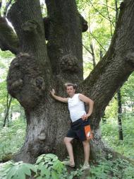 Турчинці - Останні фото