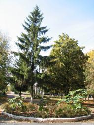 Валер'янівка з panoramio.com