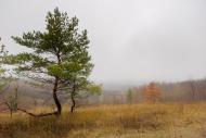Геївка з panoramio.com - Geyivka
