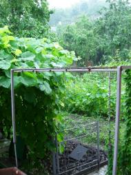 Якторів з panoramio.com