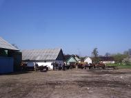 Мала Глуша - Останні фото