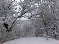 Будилів з panoramio.com