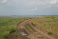 Шимшинівка з panoramio.com