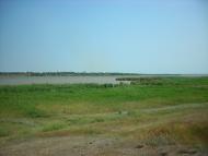 Василівка з panoramio.com