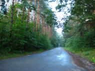 Проліски з panoramio.com - Prolisky