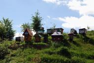 Буковець з panoramio.com